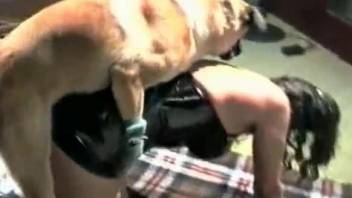 Skinny amateur gets laid with the dog in a hot scene