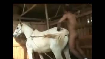 Amateur scenes of horse fucking for naked men with big dicks
