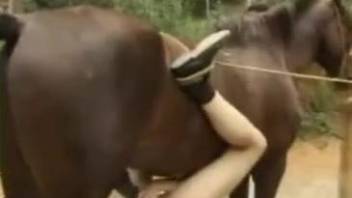 Aroused females in scenes of rough horse sex on cam