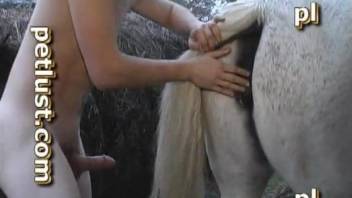 Gay man enjoys ass fucking the horse in home zoophilia