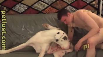 White animal with a stiff dick fucked by a zoophile