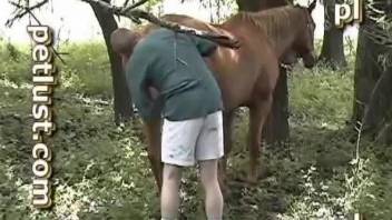 Dude cannot stop fucking mare cunts on camera