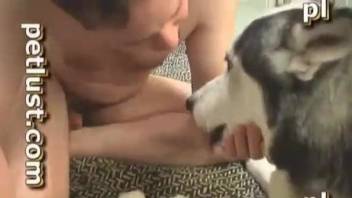 Male bestiality fuck scene with a sexy goateed dude