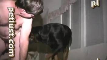 Dog fucking a dude's asshole from behind in a hot vid