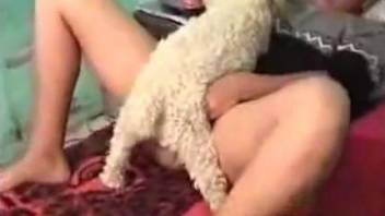 Nude woman shares solo masturbation scenes with the dog
