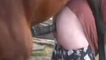 Muscular stallion fucking a big booty zoophile