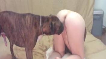 Mature plays with her mutt in raw scenes of home zoophilia