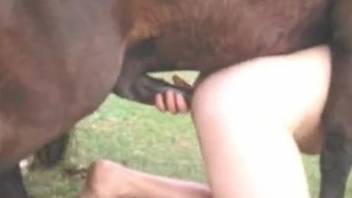 Colossal horse penis used for pleasure by a zoophile