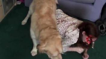 Fuirry mut deals redhead's pussy in scenes of zoophilia