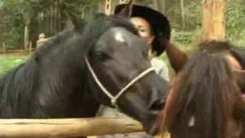 Horny woman wants the horse cock in each of her tiny holes