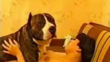 Aroused milf gets the dog on top and lets him fuck her