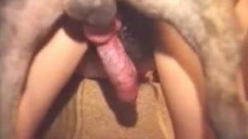 Hairy cunt beauty getting ass-blasted by a dog