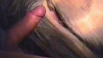 Midnight horse fuck for the horny man in need for pussy