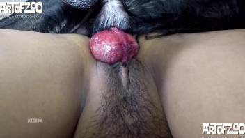 Colorful Latina fucking a black dog for the cam