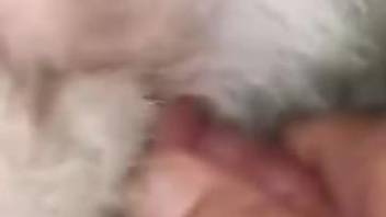 Furry zoo porn in closeup scenes for true zoophilia lovers
