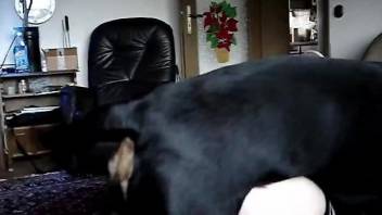 Pale booty zoophile fucking that submissive doggo