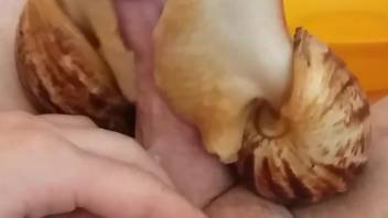 Man applies snails on his dick during masturbation