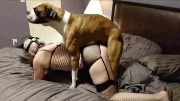 Pale babe getting drilled from behind by a mutt