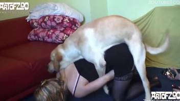 Horny blonde woman shakes the life out of a dog cock