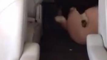 Dirty fattie with a big booty getting fucked by a dog