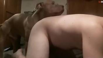 Hot dude is going to get punished by a brown doggo