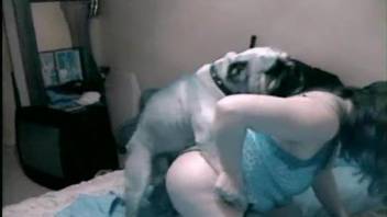 Chubby ass whore leaves her English bulldog to fuck her